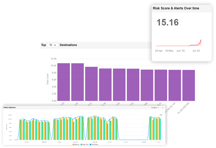 Network Detection & Response